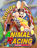 เคล็ดลับการเล่น joker โปร ให้ชนะด้วยสูตรเด็ด